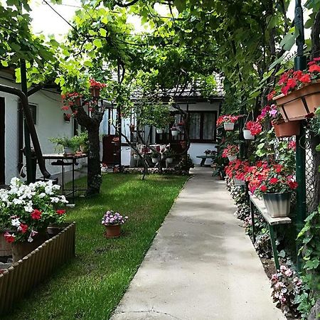 Flower House Констанца Экстерьер фото